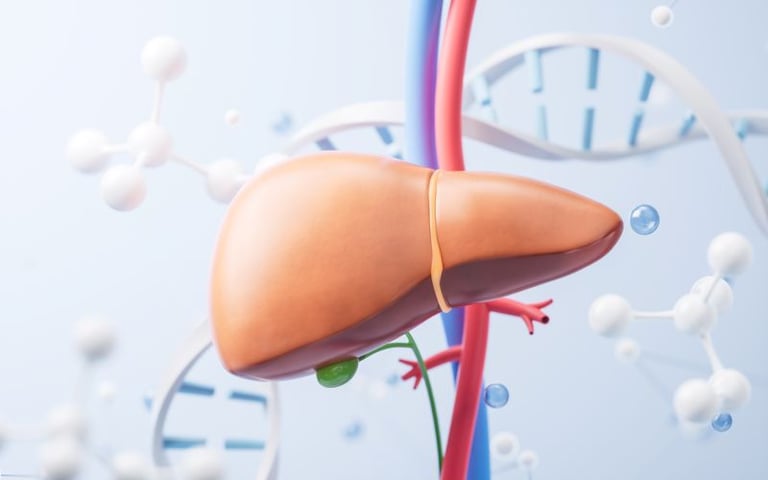 사람의 간과 유전자가 함께 어우러져 있는 구성의 일러스트