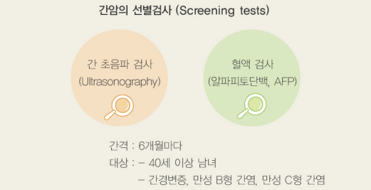 간암의 선별검사