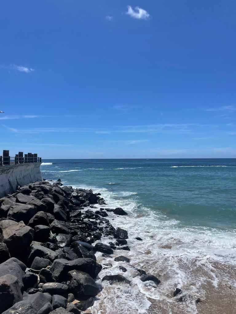 IMG_8798.jpeg