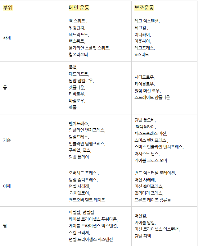 운동부위별 메인운동 및 보조운동