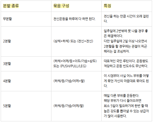 정책임 다이어트 설계자, 운동분할