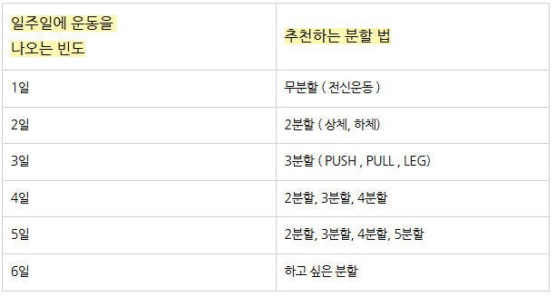정책임 다이어트 설계자