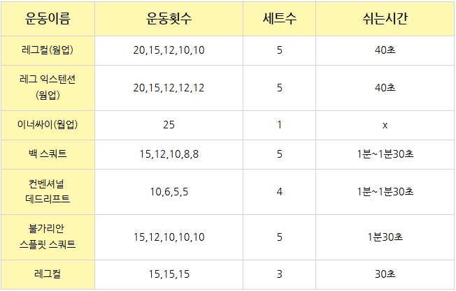 정책임 하체운동루틴