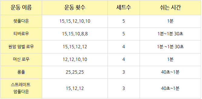 정책임 다이어트