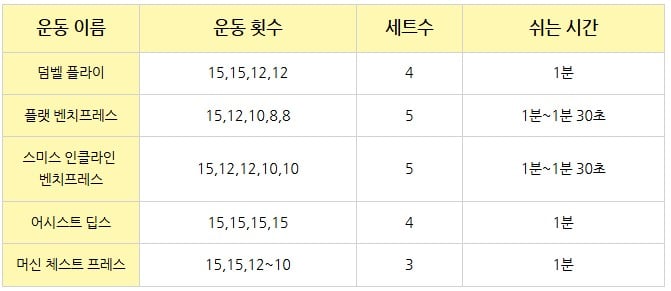 정책임 가슴운동