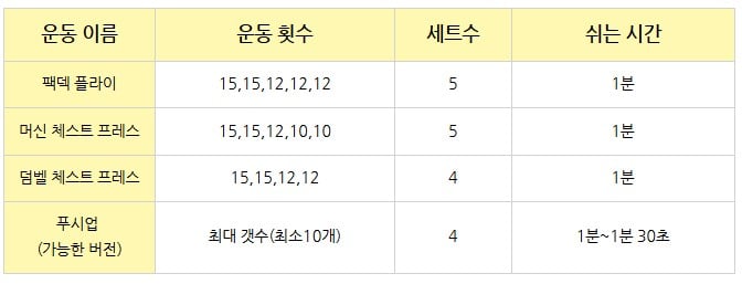 정책임 다이어트 가슴운동
