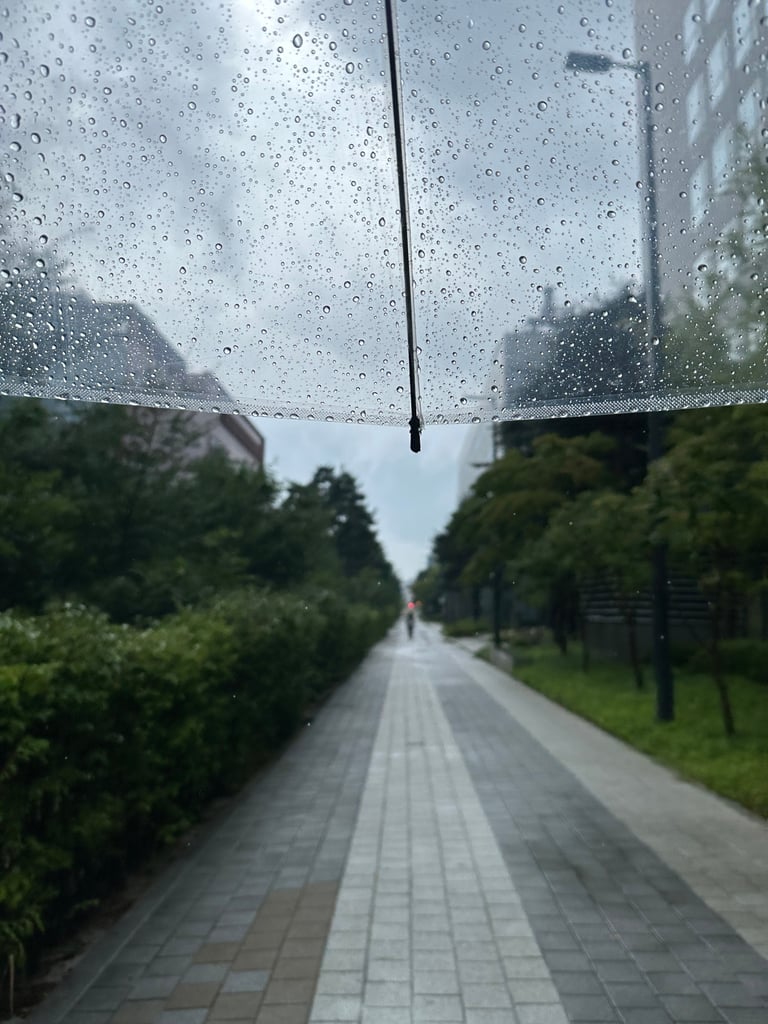 IMG_3218.jpeg