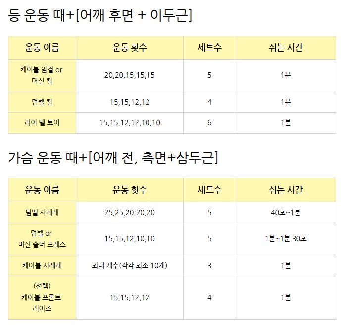 정책임 다이어트 설계자