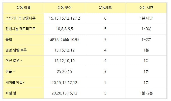 벌크업 전용 등운동
