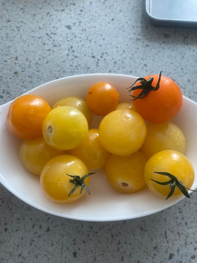 프로필