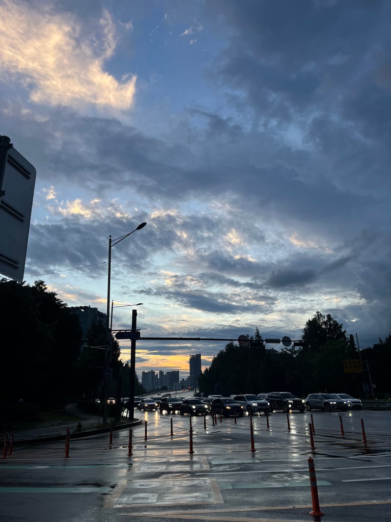 프로필