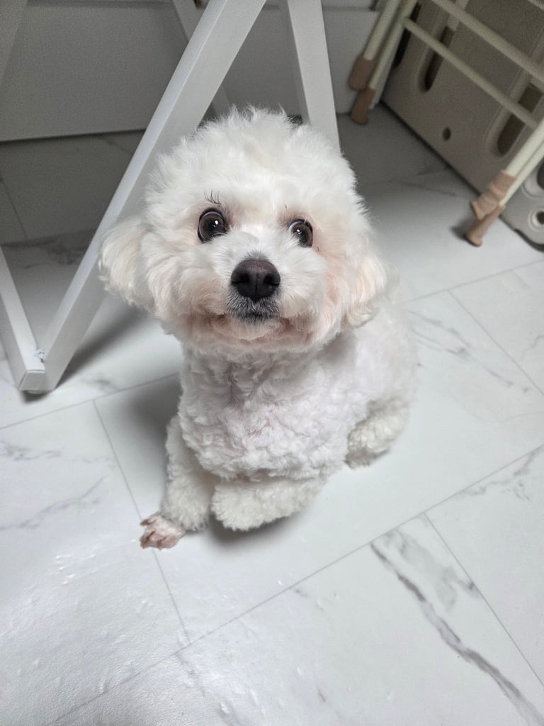 프로필