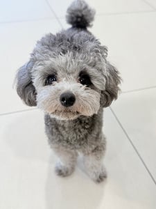 프로필
