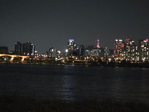 프로필