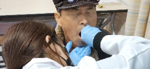 프로필